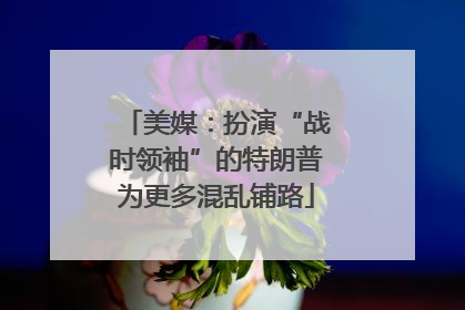 美媒：扮演“战时领袖”的特朗普为更多混乱铺路
