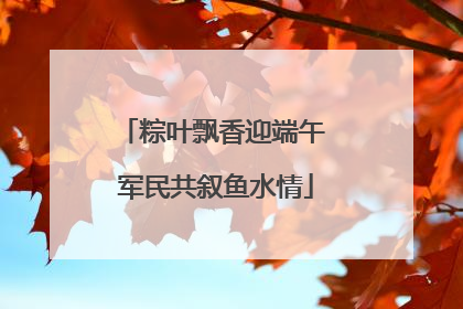 粽叶飘香迎端午 军民共叙鱼水情