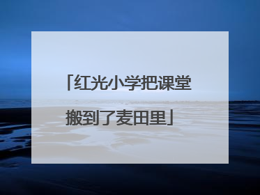 红光小学把课堂搬到了麦田里