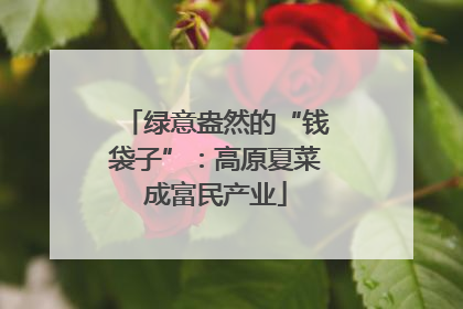 绿意盎然的“钱袋子”：高原夏菜成富民产业