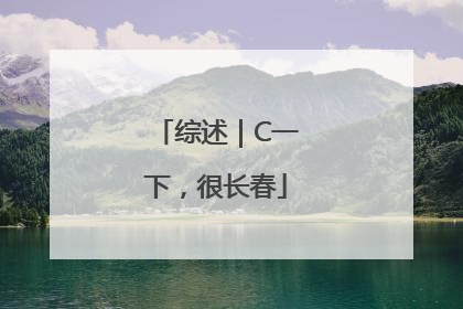 综述｜C一下，很长春