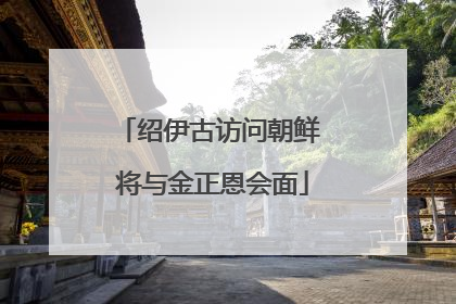 绍伊古访问朝鲜 将与金正恩会面