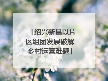 绍兴新昌以片区组团发展破解乡村运营难题