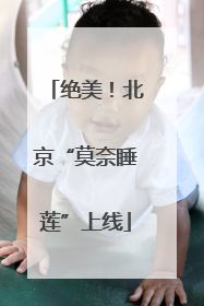 绝美！北京“莫奈睡莲”上线