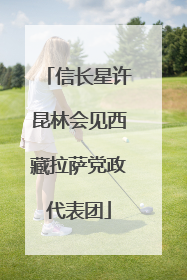 信长星许昆林会见西藏拉萨党政代表团