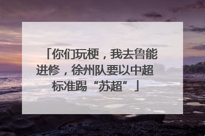 你们玩梗，我去鲁能进修，徐州队要以中超标准踢“苏超”