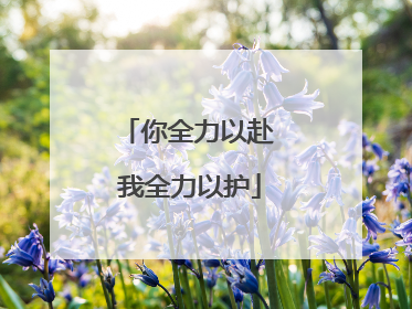 你全力以赴 我全力以护