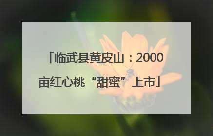 临武县黄皮山：2000亩红心桃“甜蜜”上市