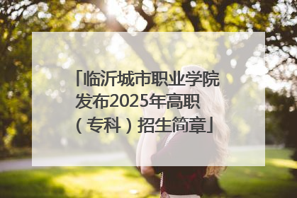 临沂城市职业学院发布2025年高职（专科）招生简章