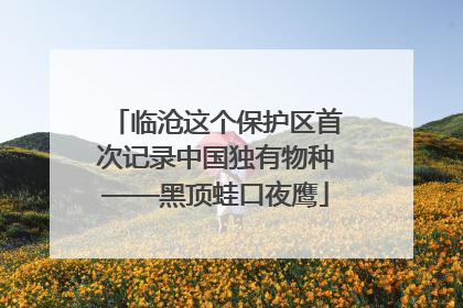 临沧这个保护区首次记录中国独有物种——黑顶蛙口夜鹰