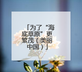 为了“海底草原”更繁茂（美丽中国）