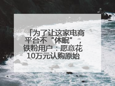 为了让这家电商平台不“休眠”，铁粉用户：愿意花10万元认购原始股“应援”