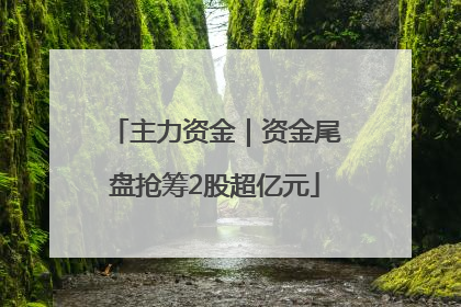 主力资金｜资金尾盘抢筹2股超亿元