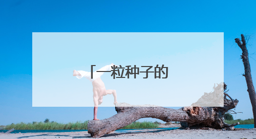一粒种子的“赶考记”