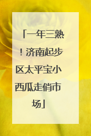 一年三熟！济南起步区太平宝小西瓜走俏市场