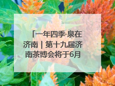 一年四季·泉在济南｜第十九届济南茶博会将于6月20日开幕