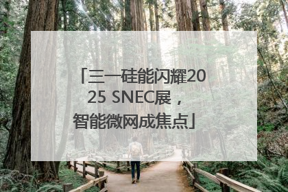 三一硅能闪耀2025 SNEC展，智能微网成焦点