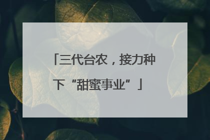 三代台农，接力种下“甜蜜事业”