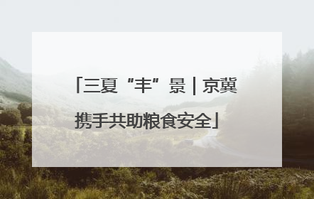 三夏“丰”景｜京冀携手共助粮食安全