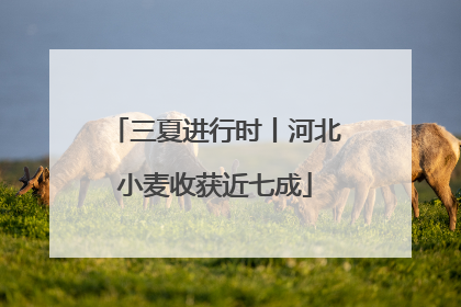 三夏进行时丨河北小麦收获近七成