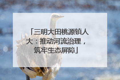 三明大田桃源镇人大：推动河流治理，筑牢生态屏障