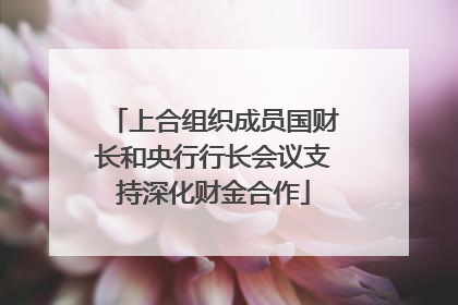 上合组织成员国财长和央行行长会议支持深化财金合作