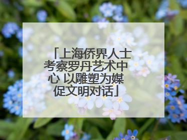 上海侨界人士考察罗丹艺术中心 以雕塑为媒促文明对话