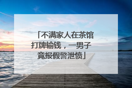 不满家人在茶馆打牌输钱，一男子竟报假警泄愤