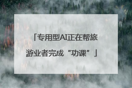 专用型AI正在帮旅游业者完成“功课”