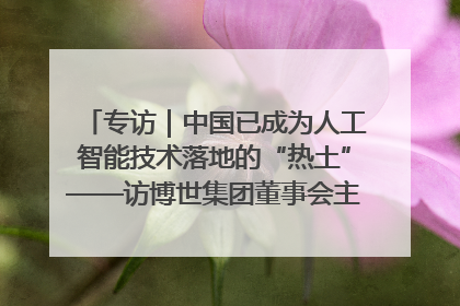 专访｜中国已成为人工智能技术落地的“热土”——访博世集团董事会主席斯特凡·哈通