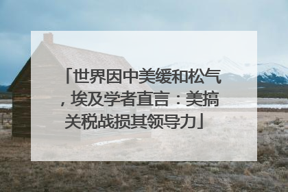 世界因中美缓和松气，埃及学者直言：美搞关税战损其领导力