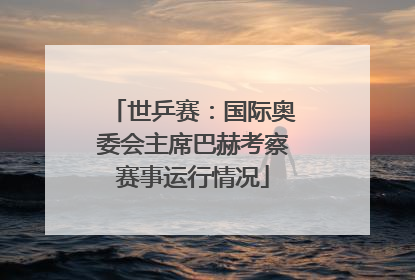 世乒赛：国际奥委会主席巴赫考察赛事运行情况