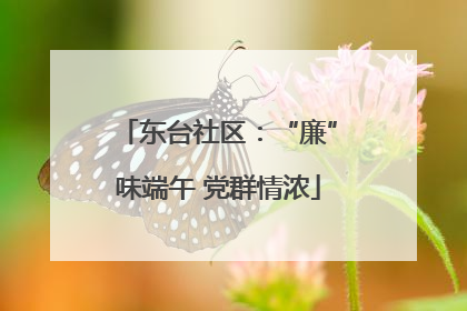 东台社区：“廉”味端午 党群情浓