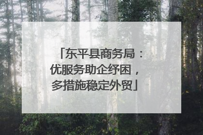 东平县商务局：优服务助企纾困，多措施稳定外贸