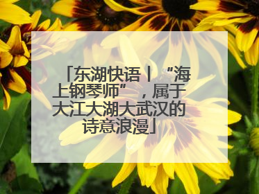 东湖快语丨“海上钢琴师”，属于大江大湖大武汉的诗意浪漫