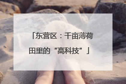 东营区：千亩薄荷田里的“高科技”