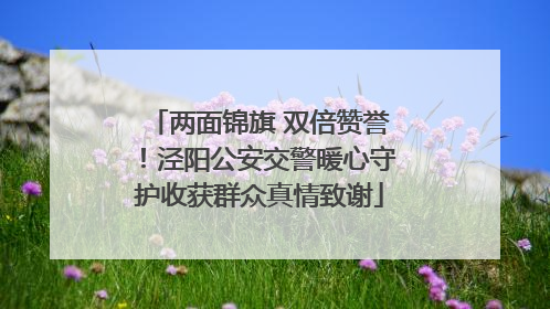 两面锦旗 双倍赞誉！泾阳公安交警暖心守护收获群众真情致谢