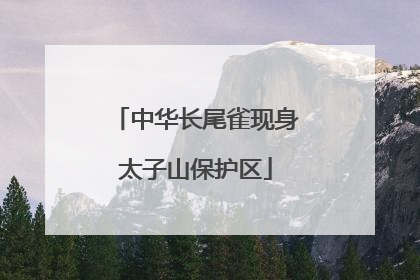中华长尾雀现身太子山保护区