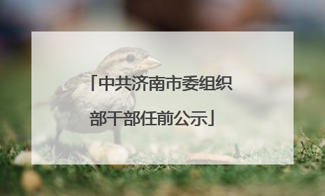 中共济南市委组织部干部任前公示