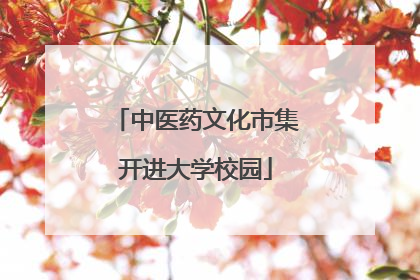 中医药文化市集开进大学校园