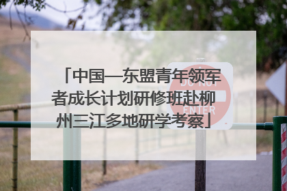 中国—东盟青年领军者成长计划研修班赴柳州三江多地研学考察