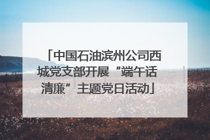 中国石油滨州公司西城党支部开展“端午话清廉”主题党日活动