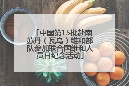 中国第15批赴南苏丹（瓦乌）维和部队参加联合国维和人员日纪念活动