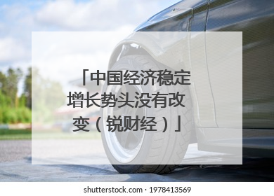 中国经济稳定增长势头没有改变（锐财经）
