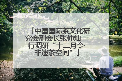 中国国际茶文化研究会副会长张仲灿一行调研“十二月令·非遗茶空间”