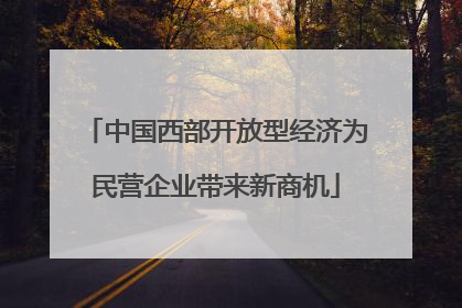 中国西部开放型经济为民营企业带来新商机