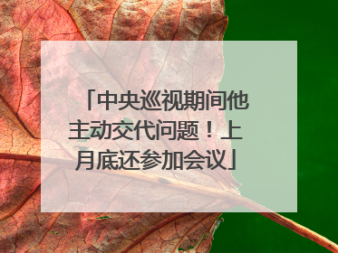 中央巡视期间他主动交代问题！上月底还参加会议