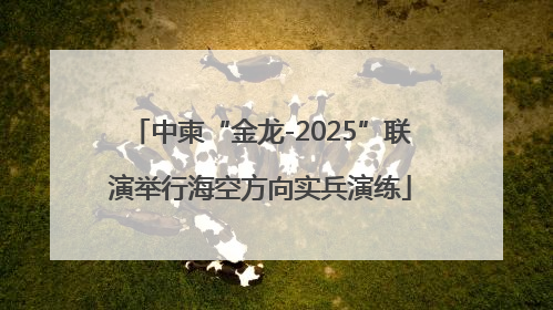 中柬“金龙-2025”联演举行海空方向实兵演练