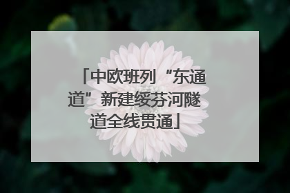中欧班列“东通道”新建绥芬河隧道全线贯通