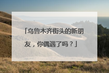 乌鲁木齐街头的新朋友，你偶遇了吗？